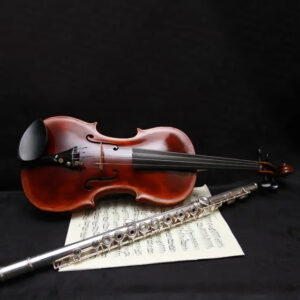 Violin