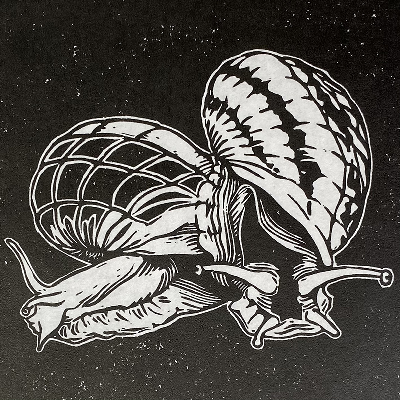 Dagon K McNiff / Snails, 2023, Linoleum relief print, 9 in x 7 in