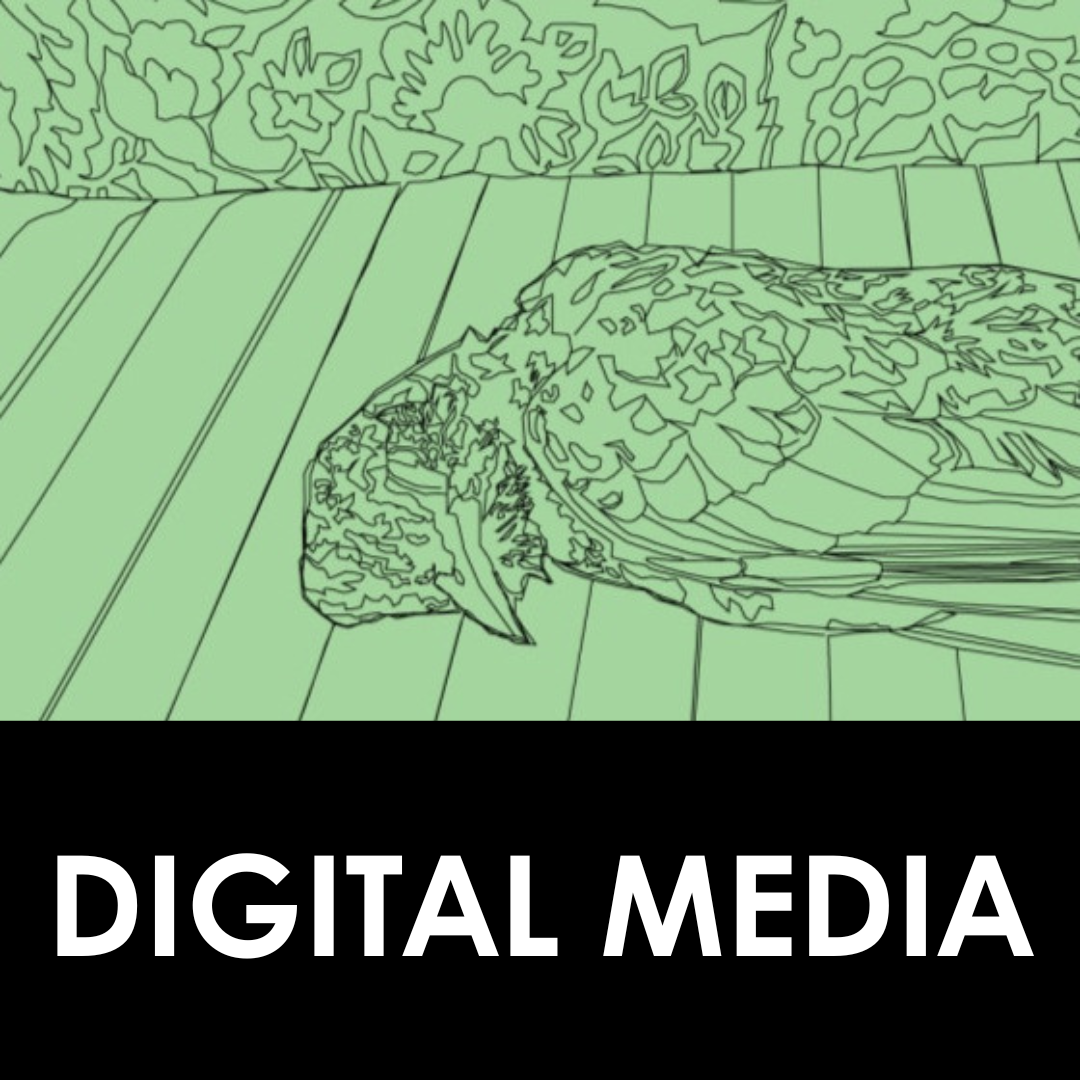PeCo_Digital-Media_web_1x1
