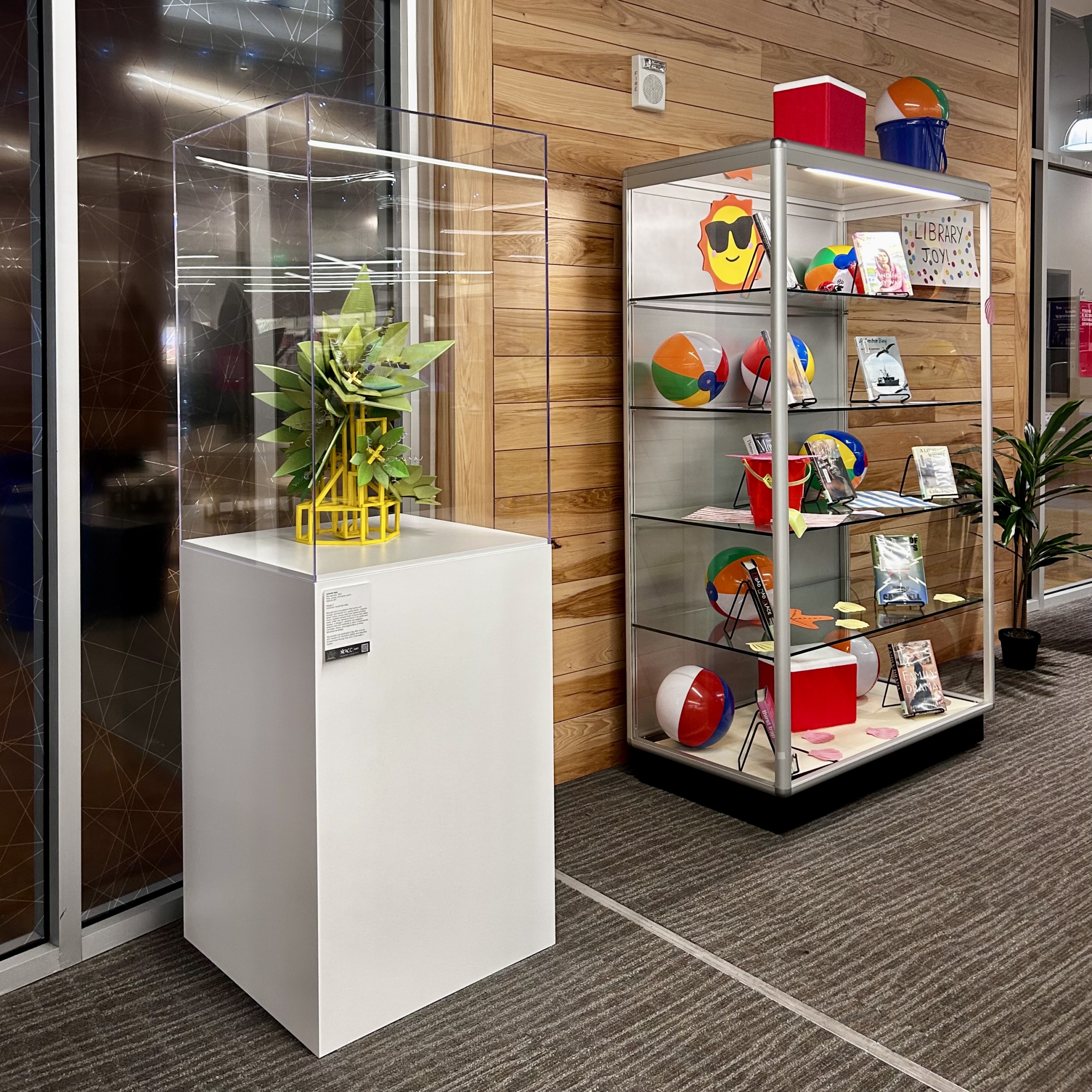 Image of artworks from the Permanent Collection on display in the ACC Highland campus library, downstairs in building1000.