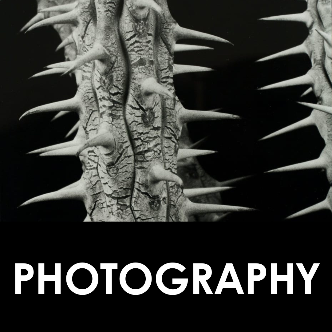 PeCo_Photography_web_1x1